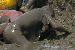 mud run